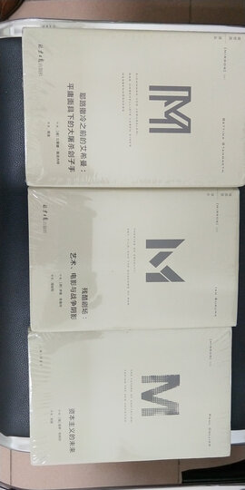 理想国译丛002·漫漫自由路:曼德拉自传 晒单图
