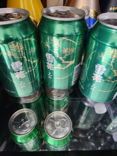 雪花啤酒（Snowbeer） 勇闯天涯 500ml*12听整箱装 经典实惠装  晒单图