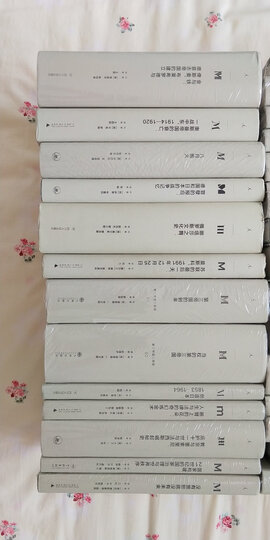 理想国译丛002·漫漫自由路:曼德拉自传 晒单图