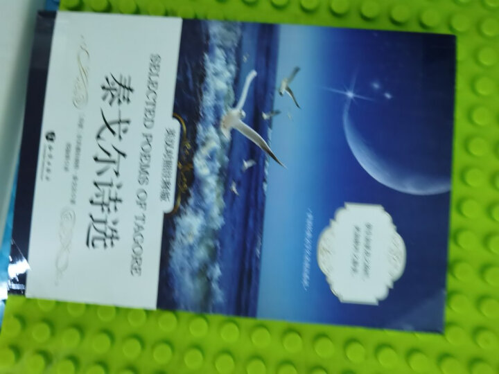 小王子 汉英对照 彩色原版双语（中英套装共2册、扫码赠音频) 晒单图