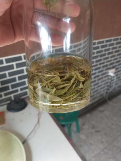 极白2024年 安吉白茶茶叶上市 雨前一级春茶绿茶200g 晒单图