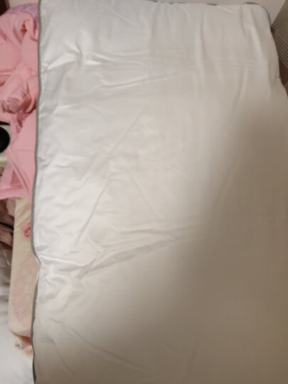 安睡宝（SOMERELLE）枕芯 星级酒店复合羽绒枕 92%白鸭绒成人颈椎枕头芯 羽绒枕 晒单图