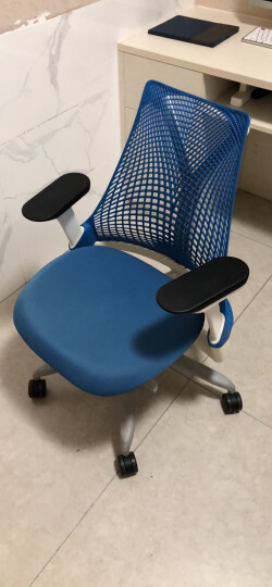 美国品牌 sayl 二手人体工学椅 护腰电竞 电脑 家用办公椅学习椅升降转椅 黑色（升降扶手+前倾）「9成新」 晒单图