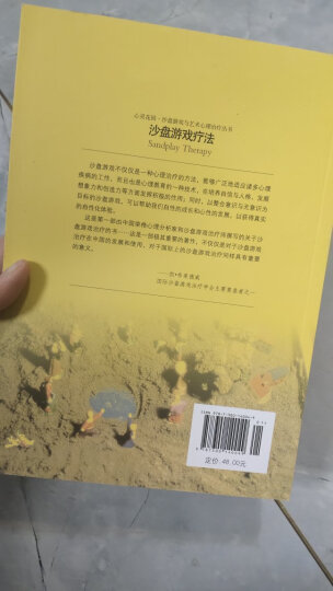 沙盘游戏中的治愈与转化：创造过程的呈现 晒单图