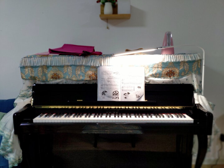 卡罗德（CAROD）【理查德签名款】智能钢琴专业练习考级演奏立式家用机械钢琴 123cm 88键 CJ3高贵柚 晒单图