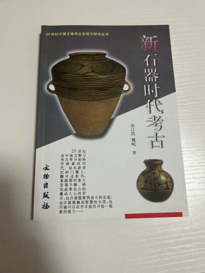 20世纪中国文物考古发现与研究丛书：新石器时代考古 晒单图