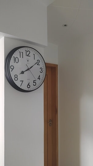 北极星（POLARIS） 挂钟客厅简约创意石英钟时尚卧室钟表现代10英寸时钟欧式挂表 晒单图