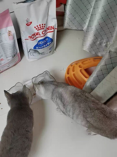 ROYAL CANIN 皇家猫粮 I27 Indoor27室内成猫猫粮 全价粮 10kg 晒单图