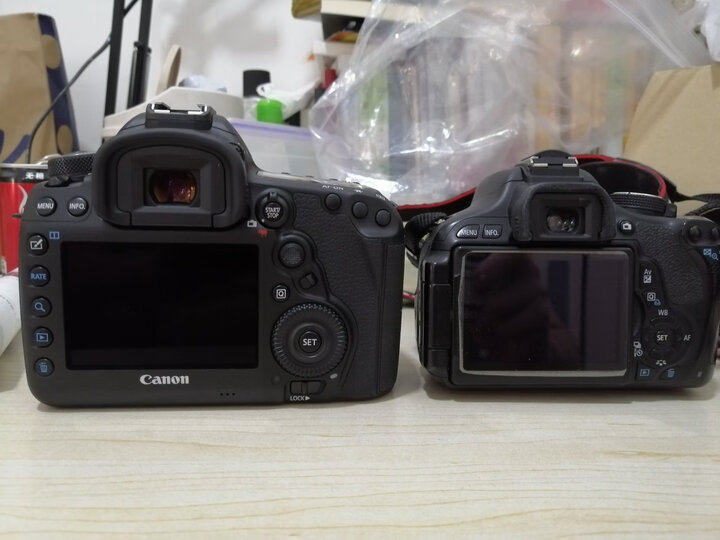 佳能(Canon)EOS 5D Mark IV 5D4 单反相机 单反套机 全画幅(EF 24-105mm f/4L IS II USM 单反镜头) 晒单图