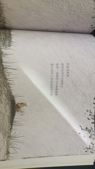松鼠先生和月亮 海豚绘本花园平装软皮封面 儿童绘本3-6岁经典畅销图书 晒单图
