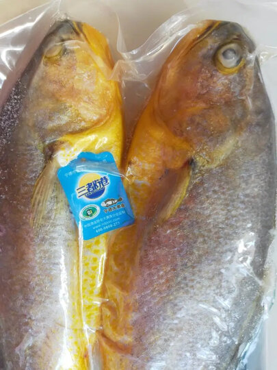三都港 三去深海宁德大黄花鱼1kg/2条装 生鲜 鱼类 国产海鲜水产 健康轻食 晒单图