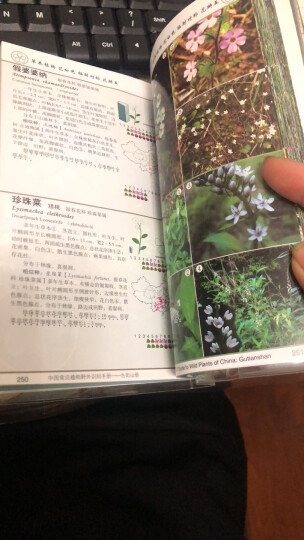 中国常见植物野外识别手册 晒单图