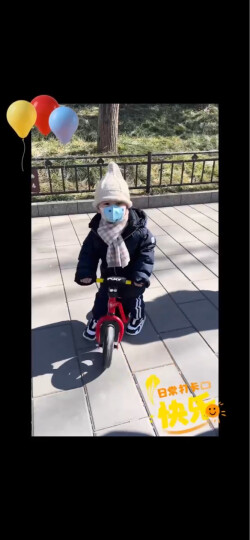 PUKY【德国进口】儿童自行车小孩滑步车宝宝单车1-2-4岁平衡车LRM系列 天空蓝4055 晒单图