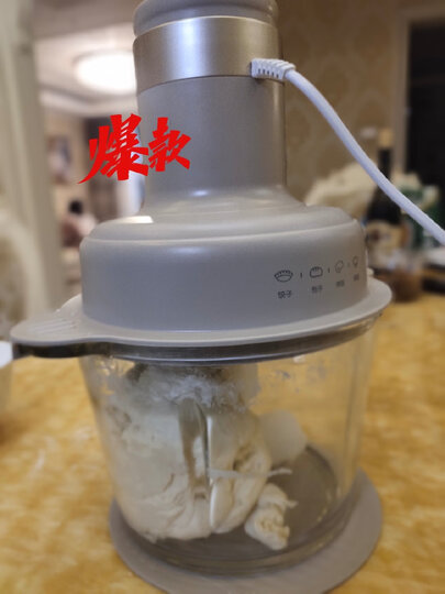 小熊（Bear）绞肉机家用 辅食机婴儿 小型绞馅机 碎肉机 打肉机 蒜蓉机 不锈钢搅肉机 双杯双刀 QSJ-B02X5 晒单图