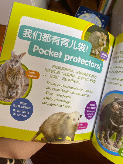 邦臣小红花·我的第一本数学启蒙贴纸游戏书(3~4岁 套装全6册) 晒单图