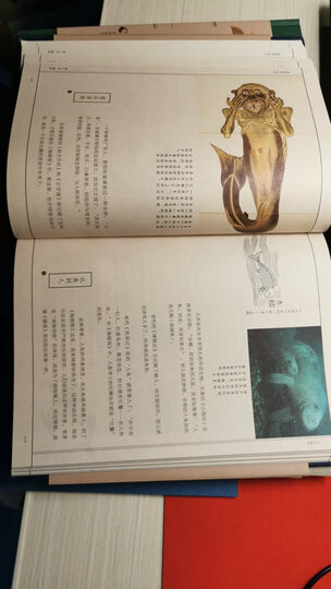 中国国家地理 掌中花园 晒单图