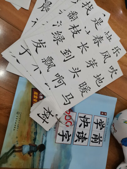 【京东自营】学前快读600字 赠-识字卡1套（套装4册）3-7岁 快速识字，了解汉字文化，引起阅读兴趣，一年级生字同步，顺利幼小衔接。大语文启蒙绘本，从识字到自主阅读 晒单图