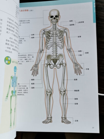 3D人体解剖图 200个精密3D图例 全彩解剖学图谱医学人体生理学人体解剖彩色学图谱局部解剖学人体解剖学 晒单图