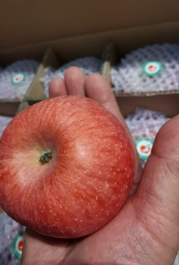 【正常发货】珍妹 陕西白水苹果红富士苹果新鲜水果  有瑞阳瑞雪 晒单图