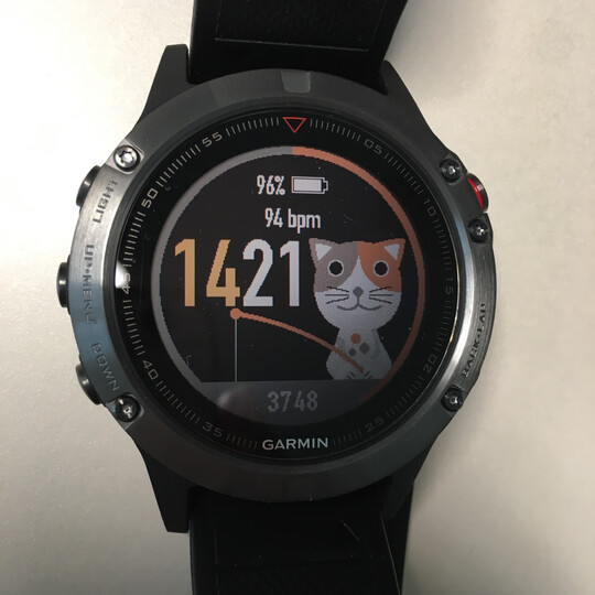佳明(GARMIN)Fenix5光学心率GPS多功能北斗气压高度计三星定位登山跑步智能运动手表游泳户外中文普通版 晒单图