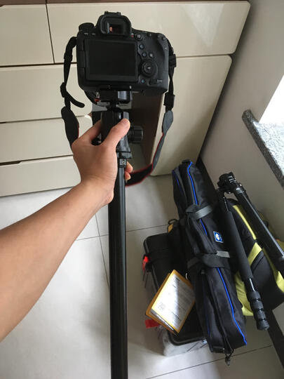 思锐(SIRUI)三脚架 R2204+G20KX 碳纤维含云台尼康佳能单反相机三角架 单反相机三脚架 专业稳定 微单通用 晒单图