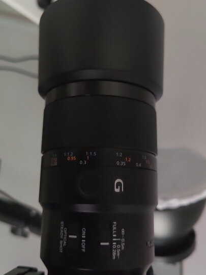 索尼（SONY）FE 90mm F2.8 G OSS 全画幅微单相机微距G镜头 E卡口 (SEL90M28G) 微距特写 人像 视频 晒单图