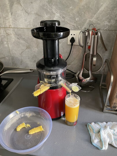 美的（Midea）原汁机 榨汁机 低速压榨果汁机 家用料理机WJS1222F 晒单图
