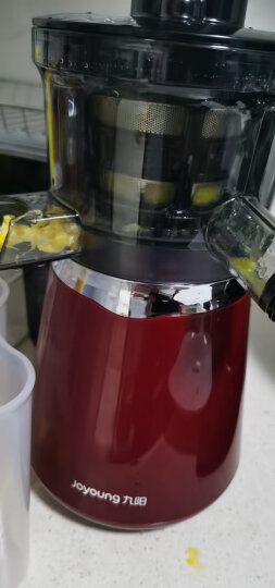 九阳（Joyoung）榨汁机 原汁机低速多汁家用多功能果汁机 可制作冰淇淋JYZ-V15 晒单图