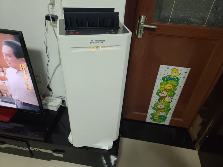 三菱电机(MITSUBISHI ELECTRIC) 空气净化器日本制造原装进口MA-E100J-C 晒单图
