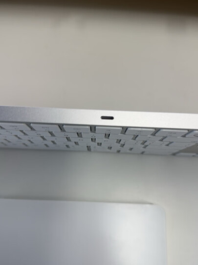 Apple 带有数字小键盘的妙控键盘 - 中文 (拼音) - 银色 适用MacBook 无线键盘 晒单图