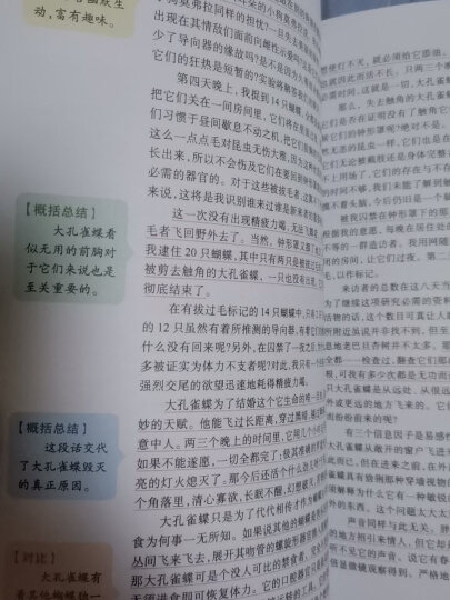 小王子 分级课外阅读青少版（无障碍阅读彩插本）中小学课外阅读 人生必读书 晒单图