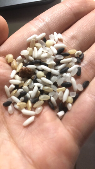 燕之坊 腊八宝米 八宝粥米 (长糯米 黑米 高粱米 豇豆 红皮花生仁 莲子 红枣) 1kg 晒单图