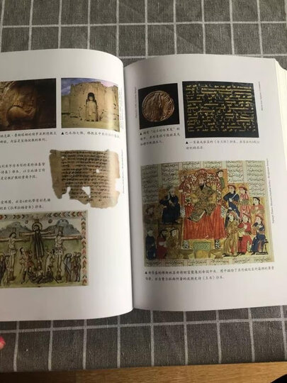 七杀简史(文学史上的新物种,雄踞世界文坛之巅!2015布克奖作品!) 晒单图