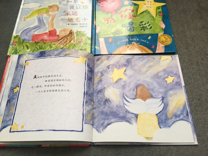 凯迪克金奖绘本系列:火车头+灯船+登月(陆海空三部曲 套装全3册) 晒单图
