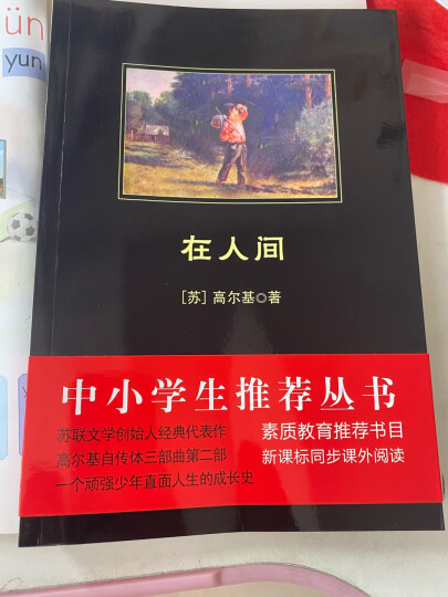 黑皮系列课外阅读：在人间（展现了一个革命者淳朴而坚韧的灵魂）八年级阅读 晒单图