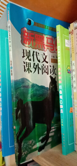 全国68所小学·小学语文阅读训练80篇：四年级（超值升级版） 晒单图