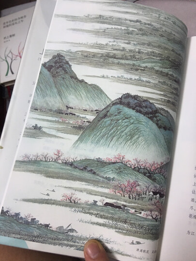 作家榜经典:儒林外史(未删节插图珍藏版,写透中国古代官场的百科全书式小说) 晒单图
