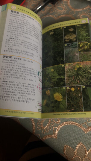 中国常见植物野外识别手册 山东册 晒单图