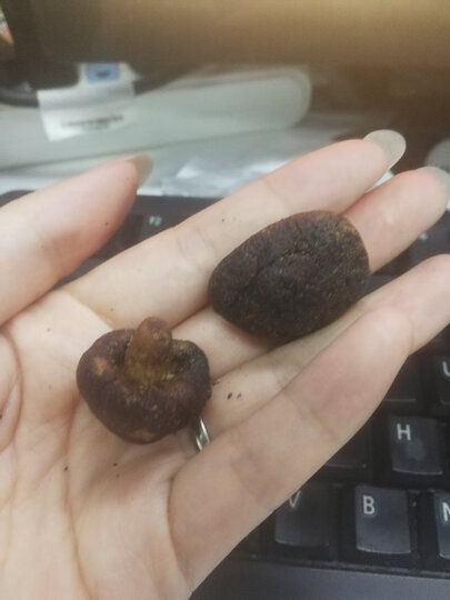 300减210_百草味 香菇脆54g 果蔬脆片蔬菜干水果干即食零食小吃 MJ 原味 晒单图