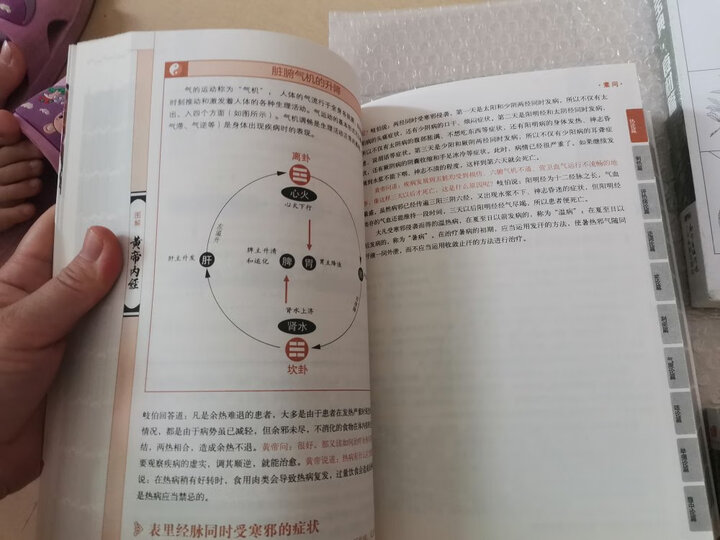 图解黄帝内经 晒单图