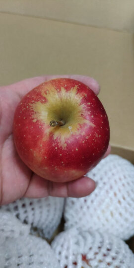 Mr Apple苹果先生 新西兰进口特级皇后红玫瑰苹果 一级果6粒装 单果重约130-170g 生鲜水果 晒单图