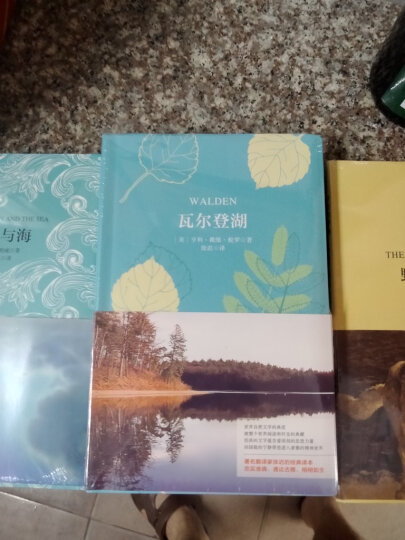 自然主义文学珍藏版套装：野性的呼唤+老人与海+瓦尔登湖(买中文赠英文原版 套装共6册) 晒单图