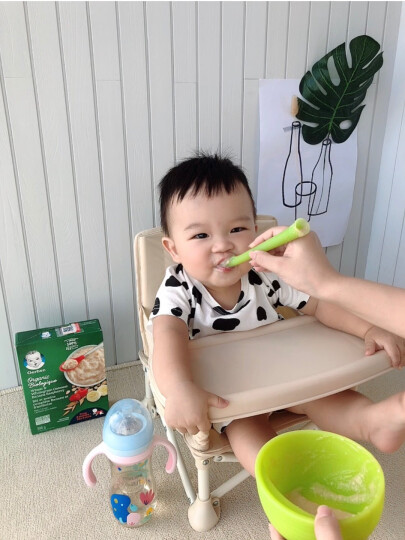 嘉宝（Gerber）婴幼儿辅食高铁苹果蓝莓米粉 三段(8个月以上） 227g原装进口 晒单图