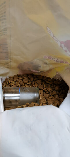 宝路 宠物狗粮 成犬全价粮 大型犬金毛哈士奇拉布拉多萨摩耶 牛肉味 1.8kg 晒单图