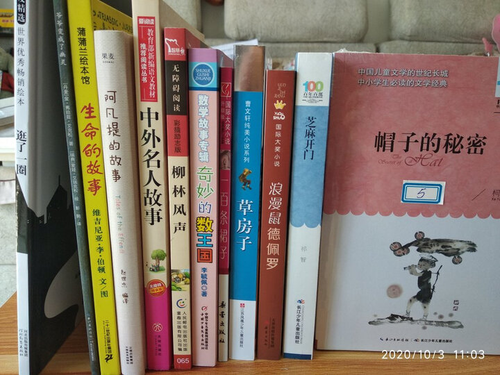 小兵张嘎/百年百部经典书系 中小学生5-6年级阅读指导书目 晒单图