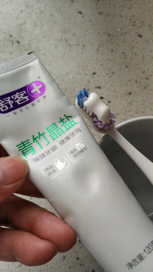 舒客 舒克专业口腔护理红花清火牙膏120g×2(缓解口腔火气 留兰香)新老包装随机发货 晒单图