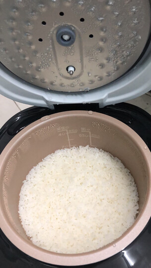 奔腾 POVOS 电饭煲迷你家用智能多功能电饭锅煲汤锅2L 24小时智能预约 耐用 1-3人小快电饭煲不粘锅FN2173 晒单图