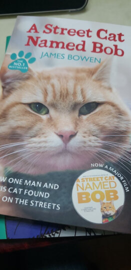预售 英文原版 一只名叫鲍勃的街头流浪猫 英文原版 街猫 A Street Cat Named Bob 晒单图