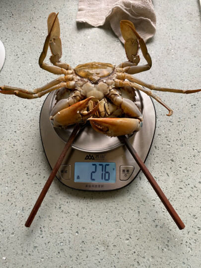 【活鲜】海鲜颂 鲜活螃蟹 青蟹 大红膏蟹 母蟹 单只重量300g-400g 单只装 晒单图