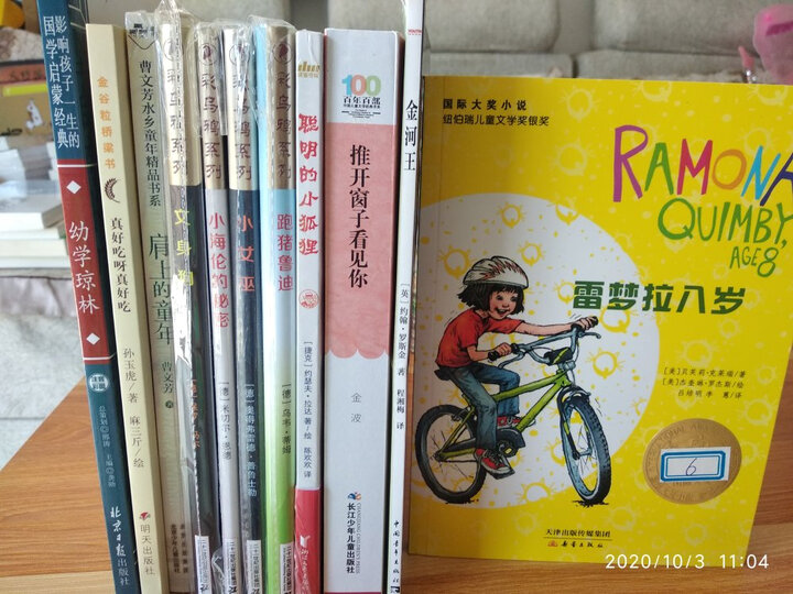 小兵张嘎/百年百部经典书系 中小学生5-6年级阅读指导书目 晒单图